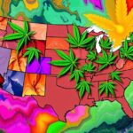 what states is cannabis legal in