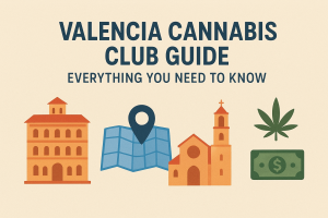 Valencia Cannabis Club Guide: Everything You Need to Know